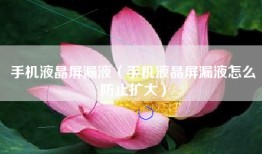 手机液晶屏漏液（手机液晶屏漏液怎么防止扩大）