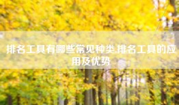 排名工具有哪些常见种类,排名工具的应用及优势