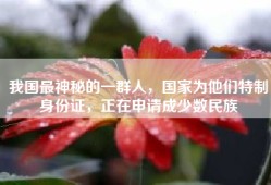 我国最神秘的一群人，国家为他们特制身份证，正在申请成少数民族