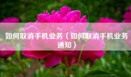 如何取消手机业务（如何取消手机业务通知）