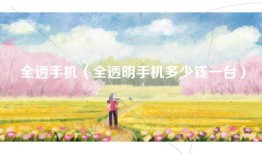 全透手机（全透明手机多少钱一台）