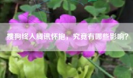 搜狗终入腾讯怀抱，究竟有哪些影响？