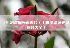 手机测试偏光镜图片（手机测试偏光镜图片大全）