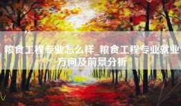 粮食工程专业怎么样_粮食工程专业就业方向及前景分析