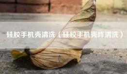 硅胶手机壳清洗（硅胶手机壳咋清洗）