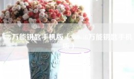 wifi万能钥匙手机版（360wifi万能钥匙手机版）