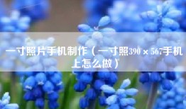 一寸照片手机制作（一寸照390×567手机上怎么做）