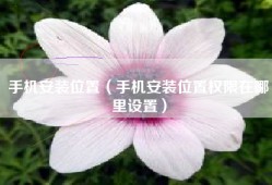 手机安装位置（手机安装位置权限在哪里设置）
