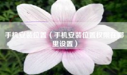 手机安装位置（手机安装位置权限在哪里设置）