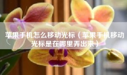 苹果手机怎么移动光标（苹果手机移动光标是在哪里弄出来）