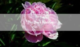 7、DuckDuckGo