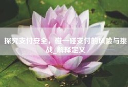 探究支付安全，碰一碰支付的风险与挑战_解释定义
