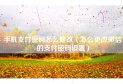 手机支付密码怎么修改（怎么更改微信的支付密码设置）