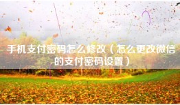 手机支付密码怎么修改（怎么更改微信的支付密码设置）
