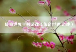 传奇世界手机游戏（传奇世界 游戏）