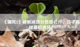 《哪吒2》被删减部分首度公开，饺子揭秘幕后遗珠！
