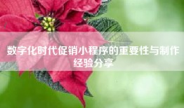 数字化时代促销小程序的重要性与制作经验分享