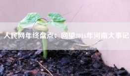 人民网年终盘点：回望2016年河南大事记
