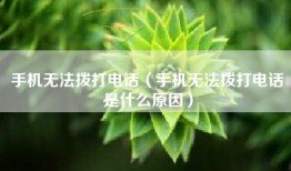 手机无法拨打电话(手机无法拨打电话是什么原因)
