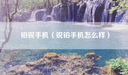 铂锐手机（锐铂手机怎么样）