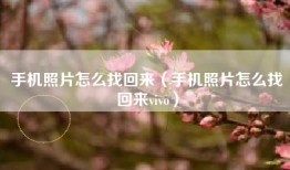 手机照片怎么找回来（手机照片怎么找回来vivo）
