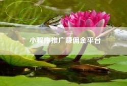 小程序推广赚佣金平台