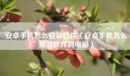 安卓手机怎么安装软件（安卓手机怎么安装软件到电脑）