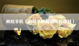 刷脸手机（刷脸手机有哪些品牌好）