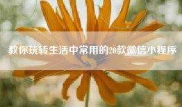 教你玩转生活中常用的20款微信小程序
