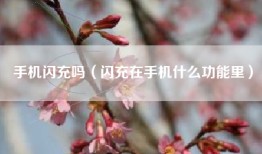 手机闪充吗（闪充在手机什么功能里）
