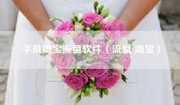 手机淘宝流量软件（流量 淘宝）