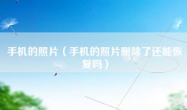 手机的照片(手机的照片删除了还能恢复吗)