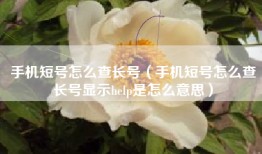 手机短号怎么查长号（手机短号怎么查长号显示help是怎么意思）