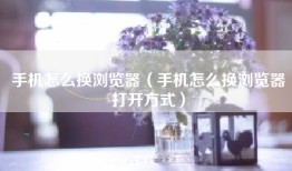 手机怎么换浏览器（手机怎么换浏览器打开方式）