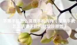 苹果手机怎么清理手机内存（苹果手机怎么清理手机内存垃圾微信）