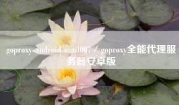 goproxy-android snail007／goproxy全能代理服务器安卓版