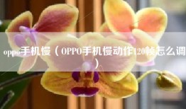 oppo手机慢（OPPO手机慢动作120帧怎么调）