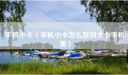 手机小卡（手机小卡怎么放到大卡手机里）