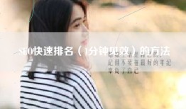SEO快速排名（1分钟见效）的方法
