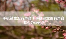 手机键盘没有声音（手机键盘没有声音怎么办OPPO）