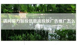 请问磁力智投信息流投放广告推广怎么合作