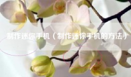 制作迷你手机（制作迷你手机的方法）