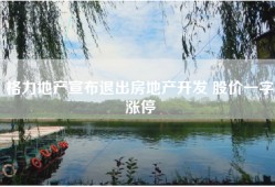 格力地产宣布退出房地产开发 股价一字涨停