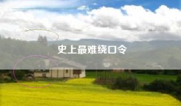 史上最难绕口令