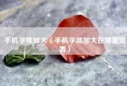 手机字体加大（手机字体加大在哪里设置）