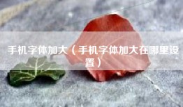 手机字体加大（手机字体加大在哪里设置）