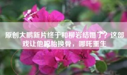 原创大鹏新片终于和柳岩结婚了？这部戏让他脱胎换骨，哪吒重生