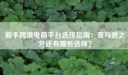 新手跨境电商平台选择指南：亚马逊之外还有哪些选择？