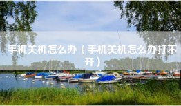 手机关机怎么办（手机关机怎么办打不开）