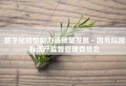 数字化转型助力高质量发展－国务院国有资产监督管理委员会
